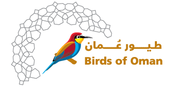 Birds of Oman